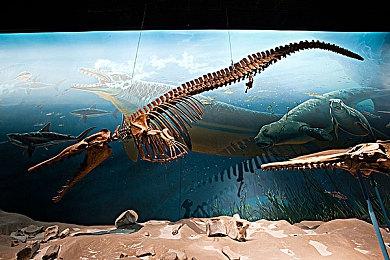 简中版《凍京NECRO》Steam上线 3月13日发售